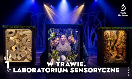 W trawie. Laboratorium sensoryczne