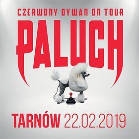 Paluch - Tarnów