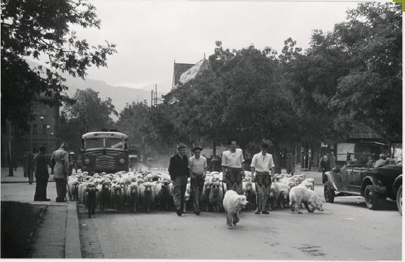 Tatrzańska Atlantyda fot_3