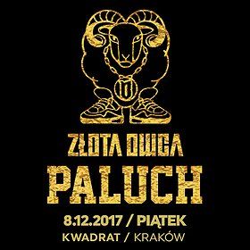 Paluch - Złota Owca - Kraków