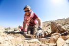 miniatura Archeolodzy z UJ badają pierwsze ślady osadnictwa w Jordanii - 2