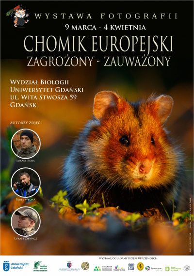 Chomik europejski. Zagrożony – zauważony - wystawa w UG