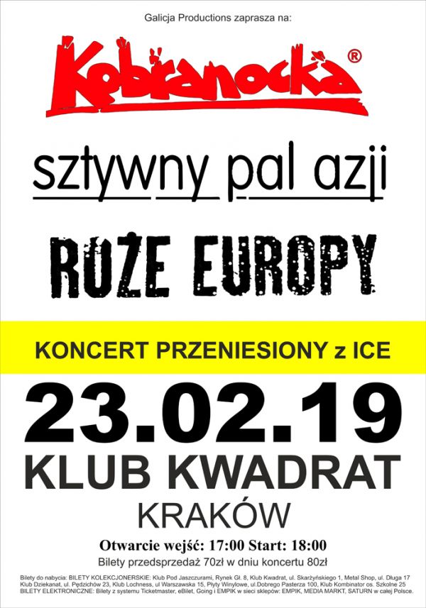 Kobranocka, Sztywny Pal Azji, Róże Europy - koncert w Krakowie